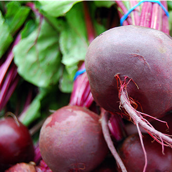 BEETS - THE AMAZING SUPERFOOD