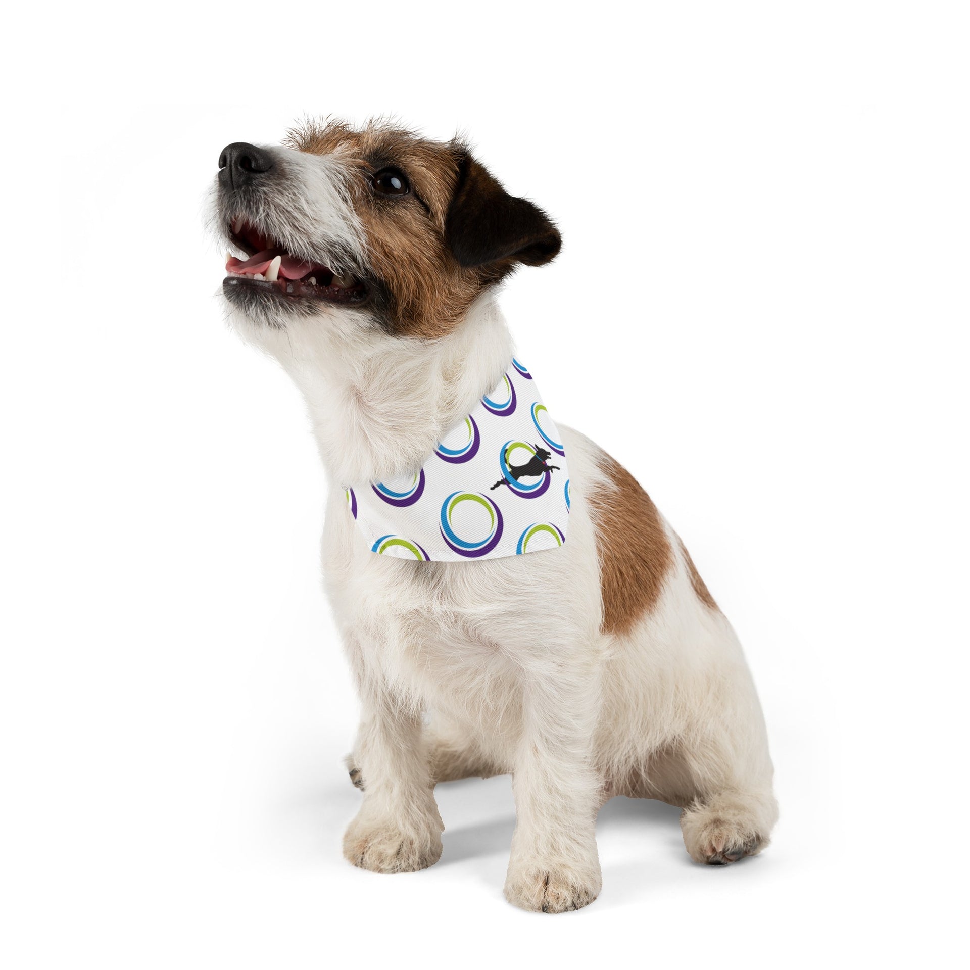 LifeSense Pet Bandana – LifeSense® Products