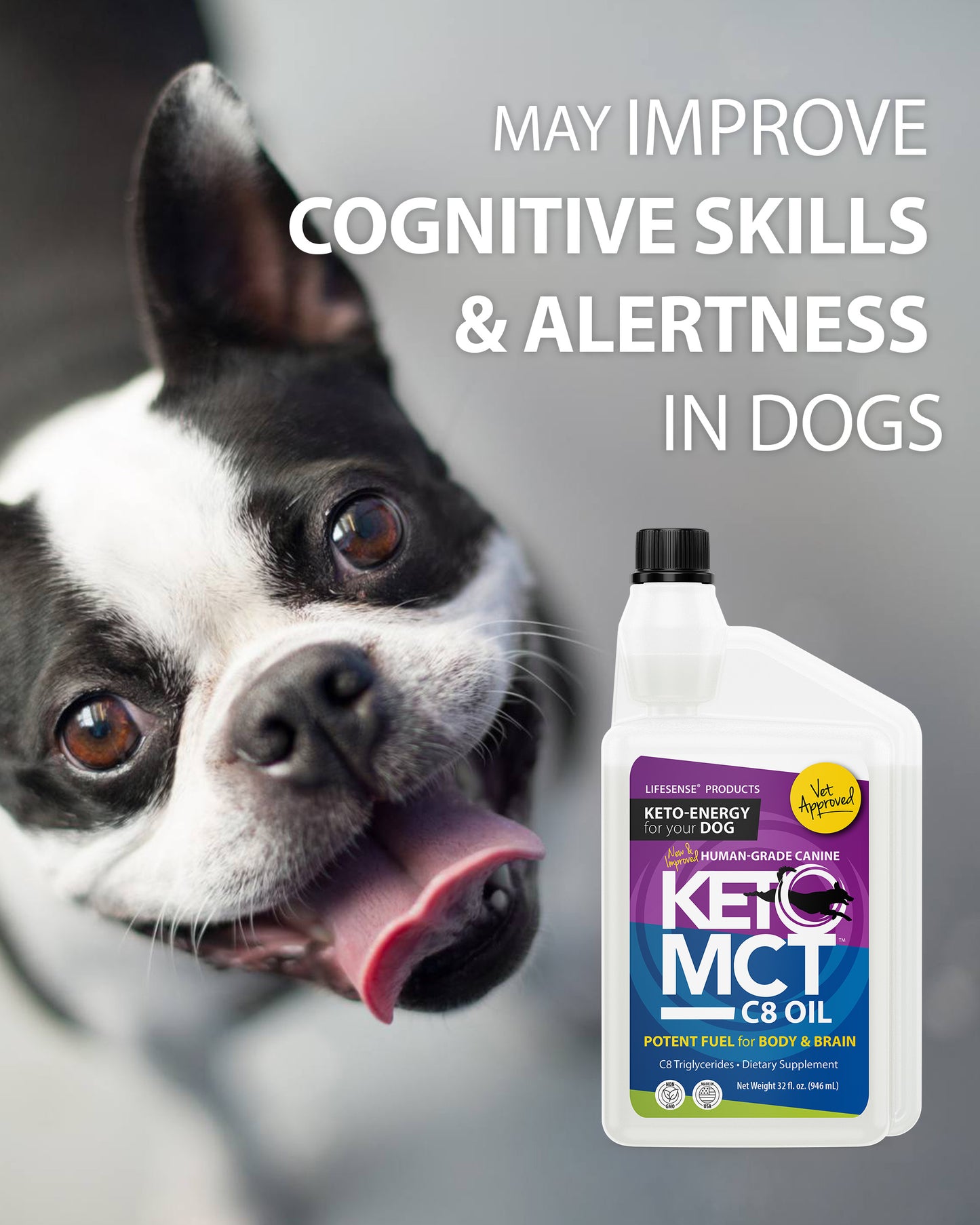 C8 KetoMCT Oil for Dogs