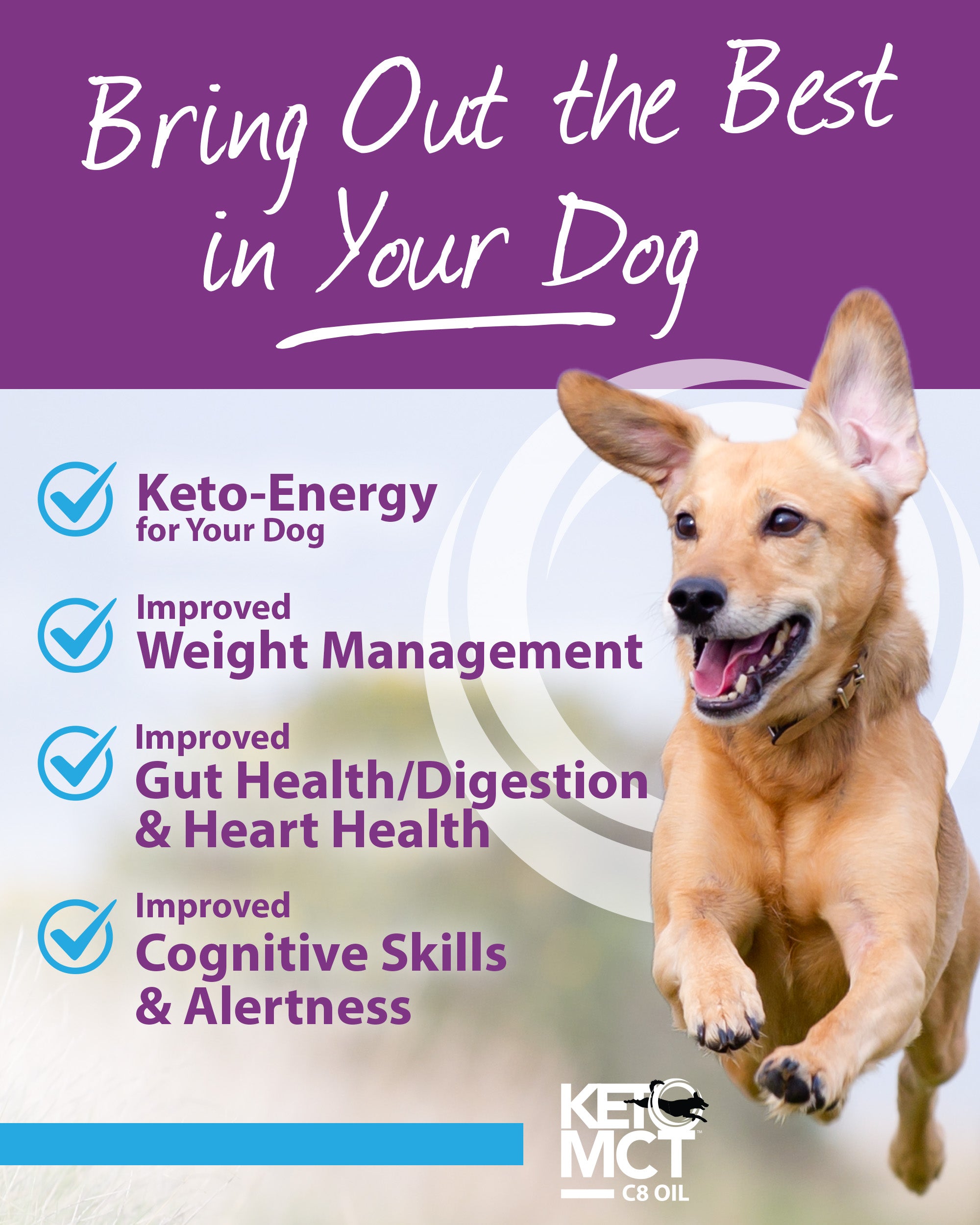 C8 KetoMCT Oil for Dogs – LifeSense® Products