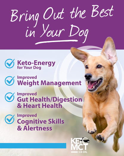 C8 KetoMCT Oil for Dogs