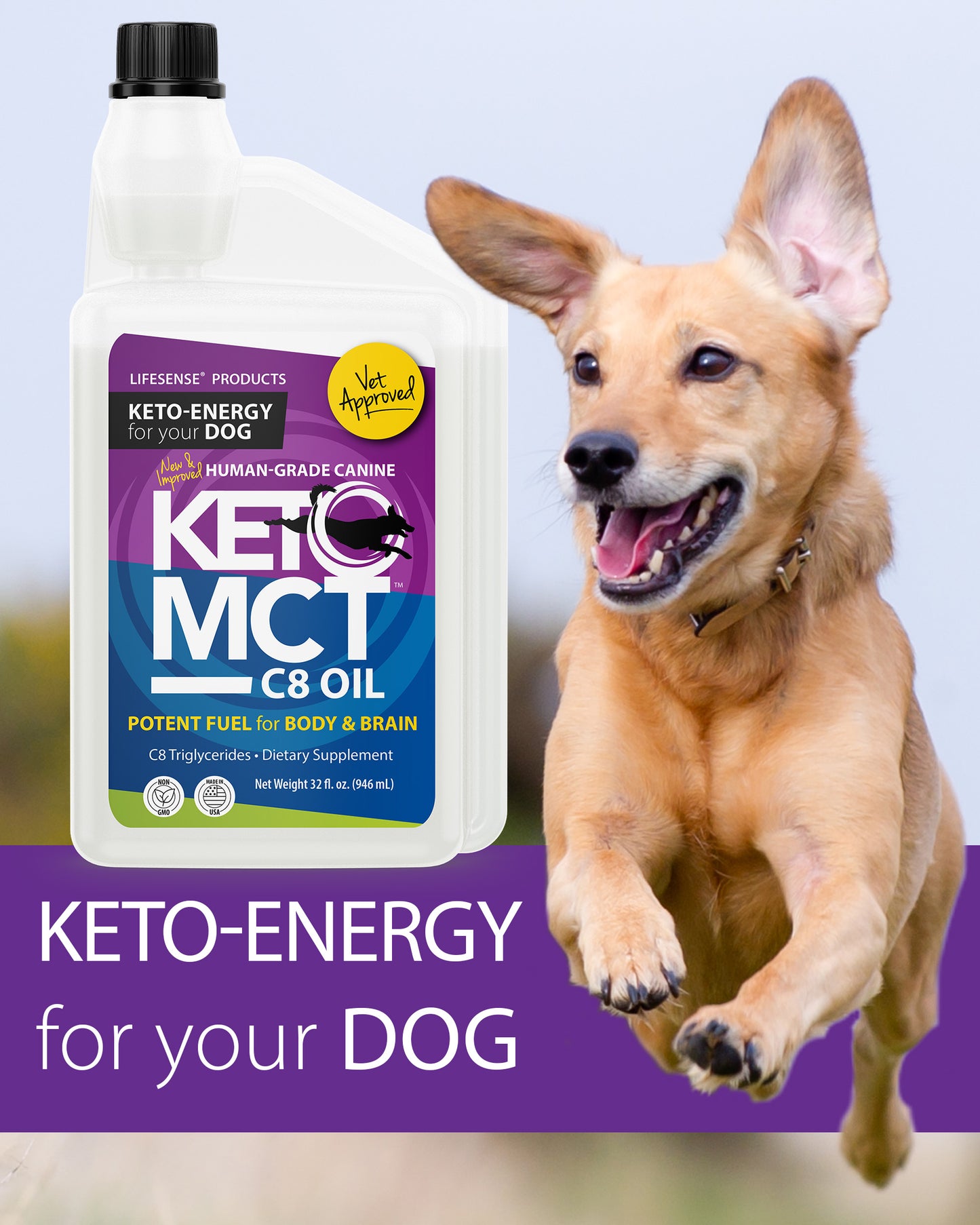 C8 KetoMCT Oil for Dogs