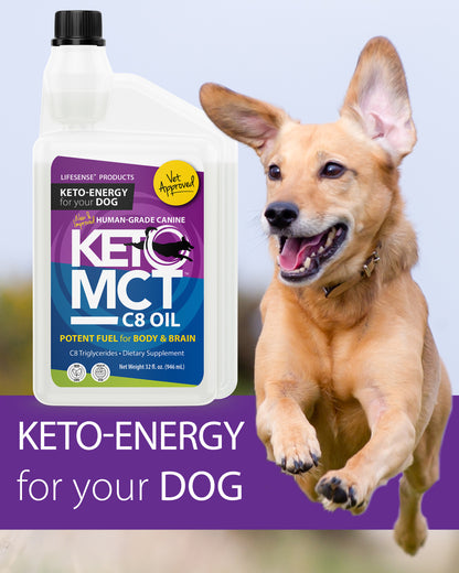 C8 KetoMCT Oil for Dogs
