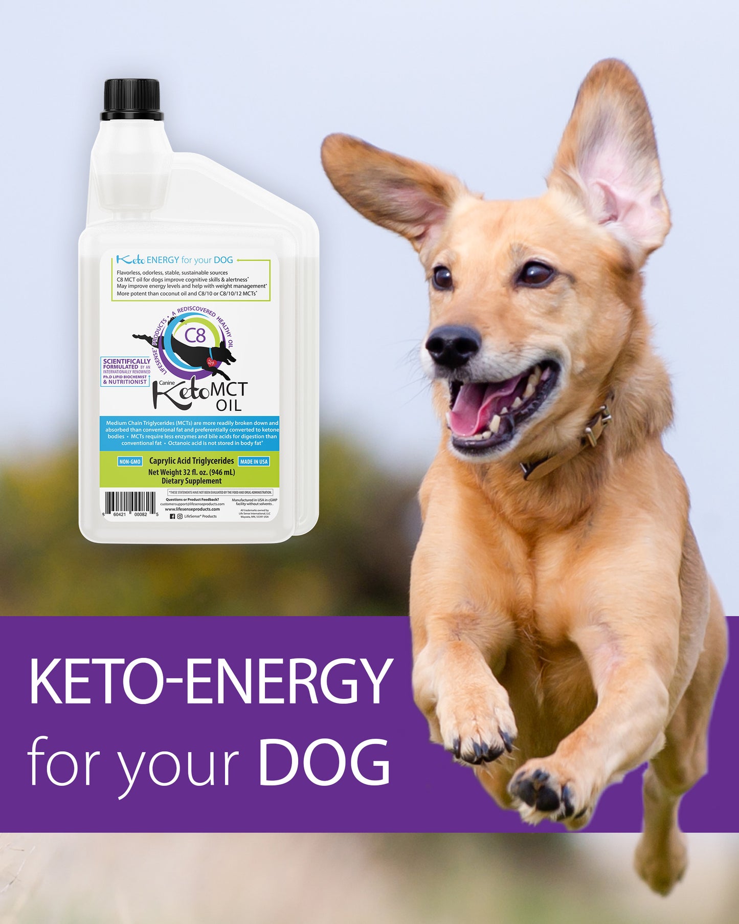 C8 KetoMCT Oil for Dogs